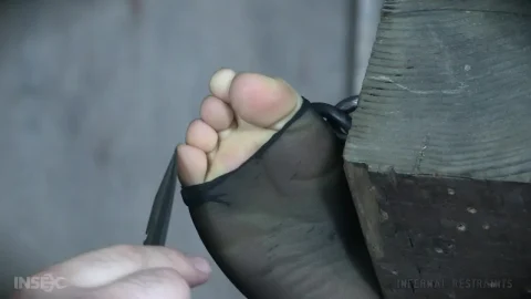 Brunette girl in bondage gets oral