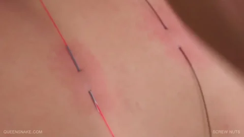 Two slim brunettes with tattoos go at it with needles and gloves