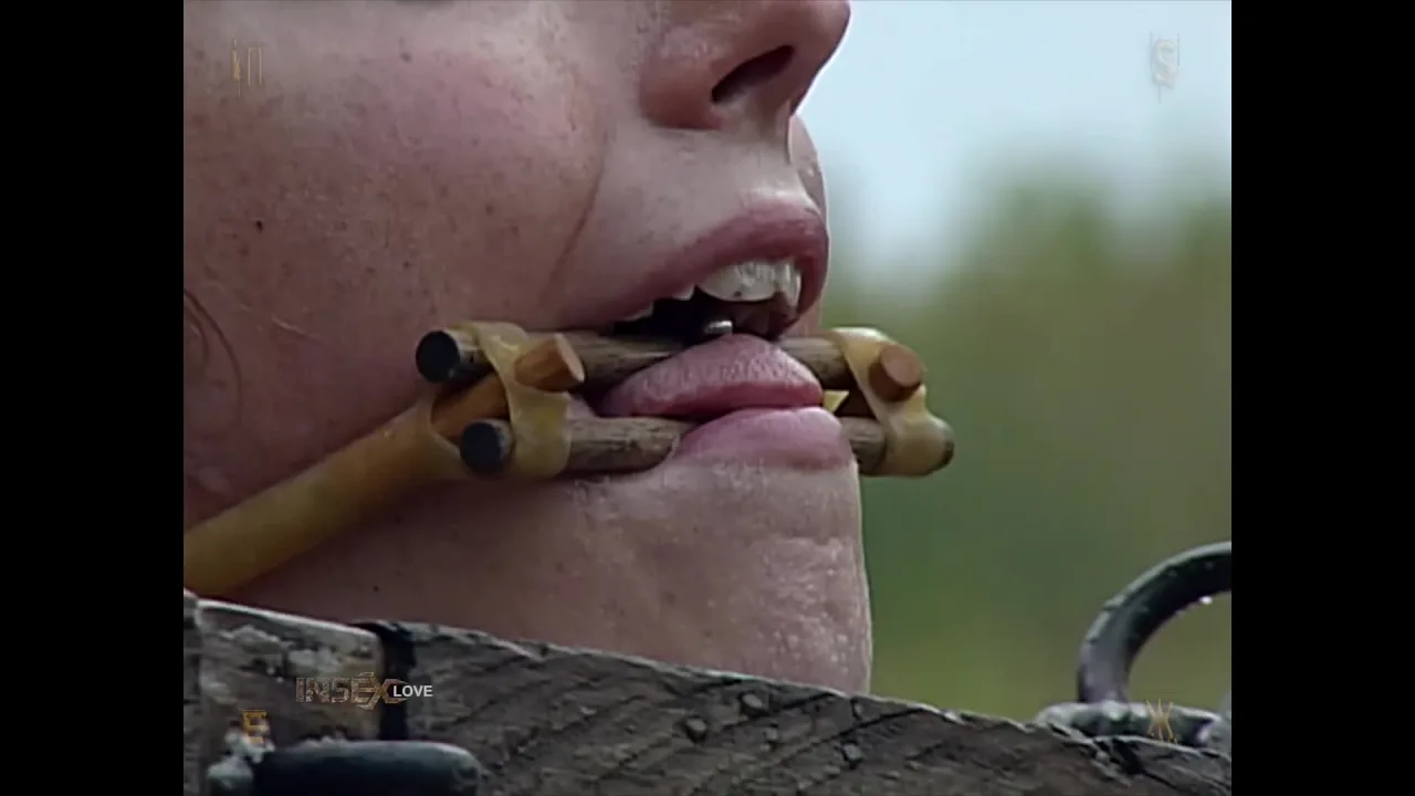 Blonde woman in outdoor bondage and gags