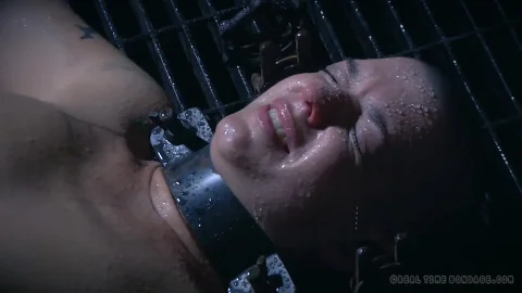 The Extended Feed Of Miss Dupree Part 3 29 8 2015 – Abigail Dupree