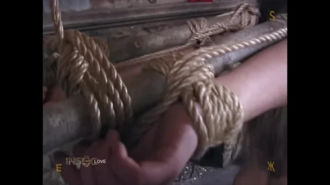 INSEX – Tyler Scot, 411 – Tyler File 3 (22 08 2022)